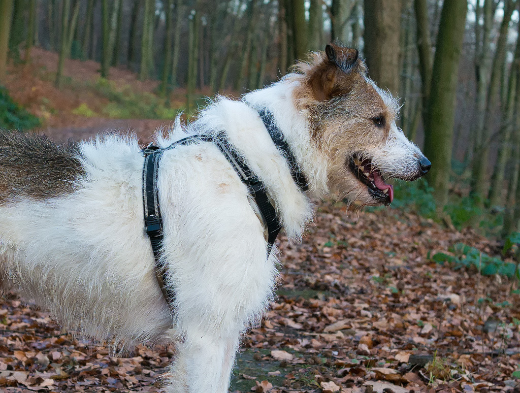 1111  Felix-SAM_0787-1-Kopie-Nr-2.jpg